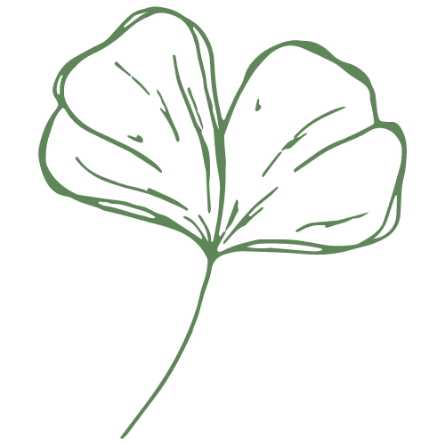 gingkoblatt